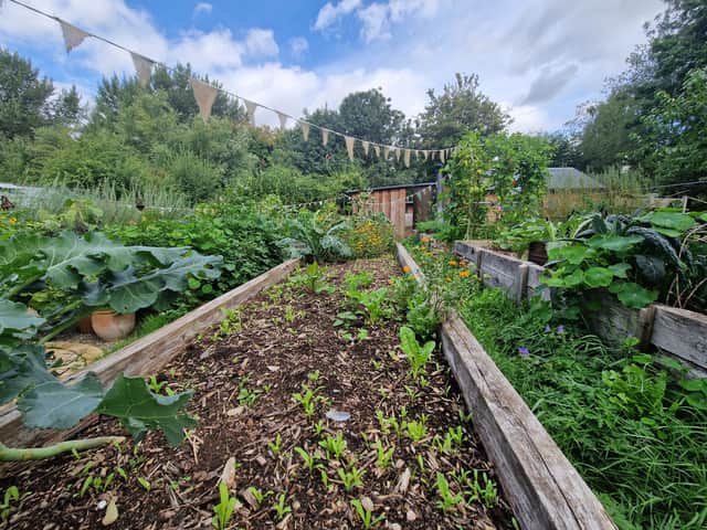 The market garden at Riverside House