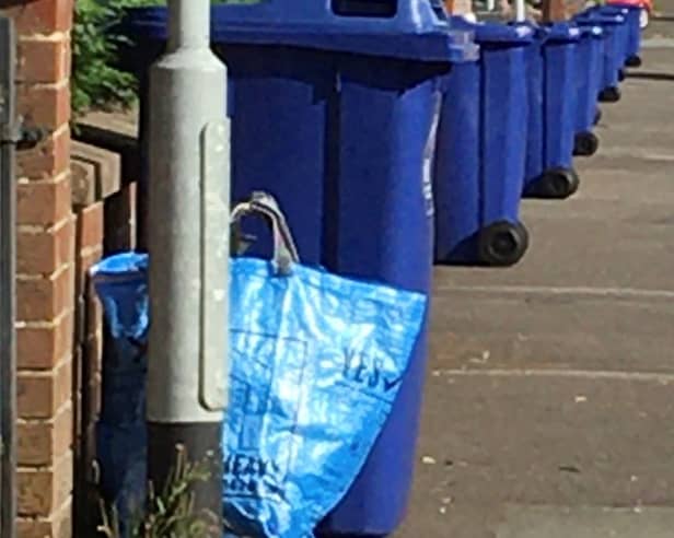 Newcastle borough blue recycling bins and bag