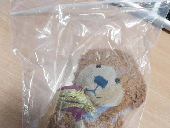 A teddy bear clutching an urn