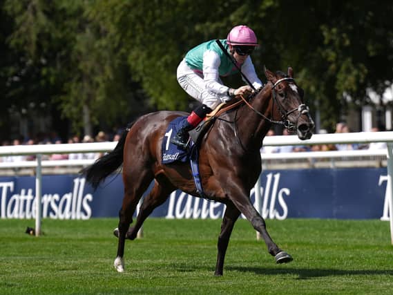 Blue Bolt winning the Falmouth Stakes
