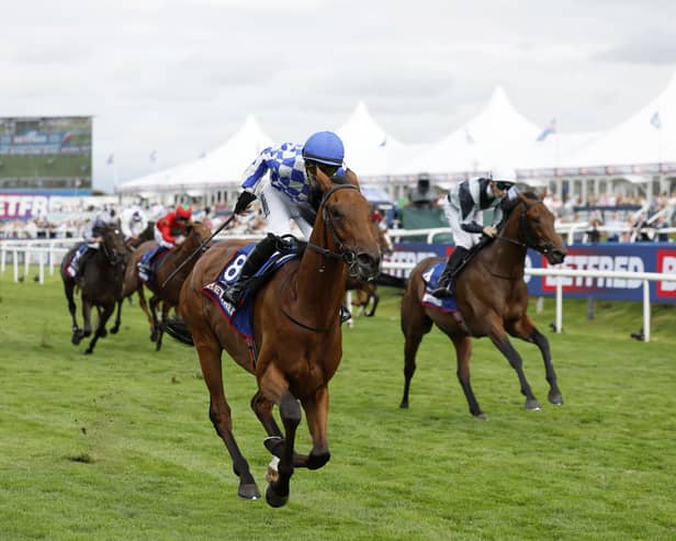 Enceldaus (right) had to give best to stablemate Highwayman