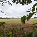 A Protest walk has taken place in Albrighton, where they are fighting a huge housing development.   One of the fields that may become housing.