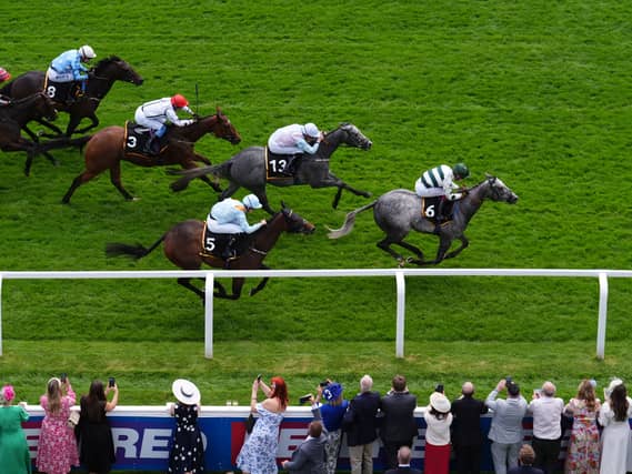 Naanas Shadow (right) is heading back to France