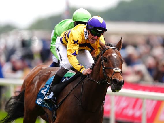 American Affair could be off on his travels