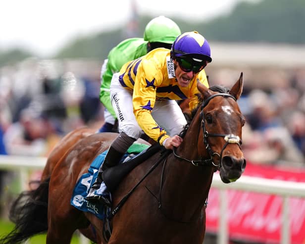 American Affair could be off on his travels
