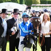 Venetian Sun will head to the sales in December