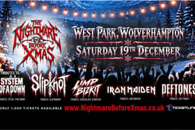 The event promises good music and festive treats. Photo: WV1FEST