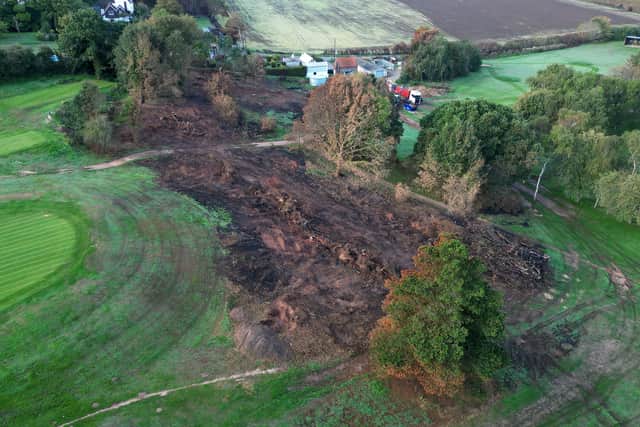Hundreds of trees were destroyed by the wildfires. Picture: Tim Thursfield