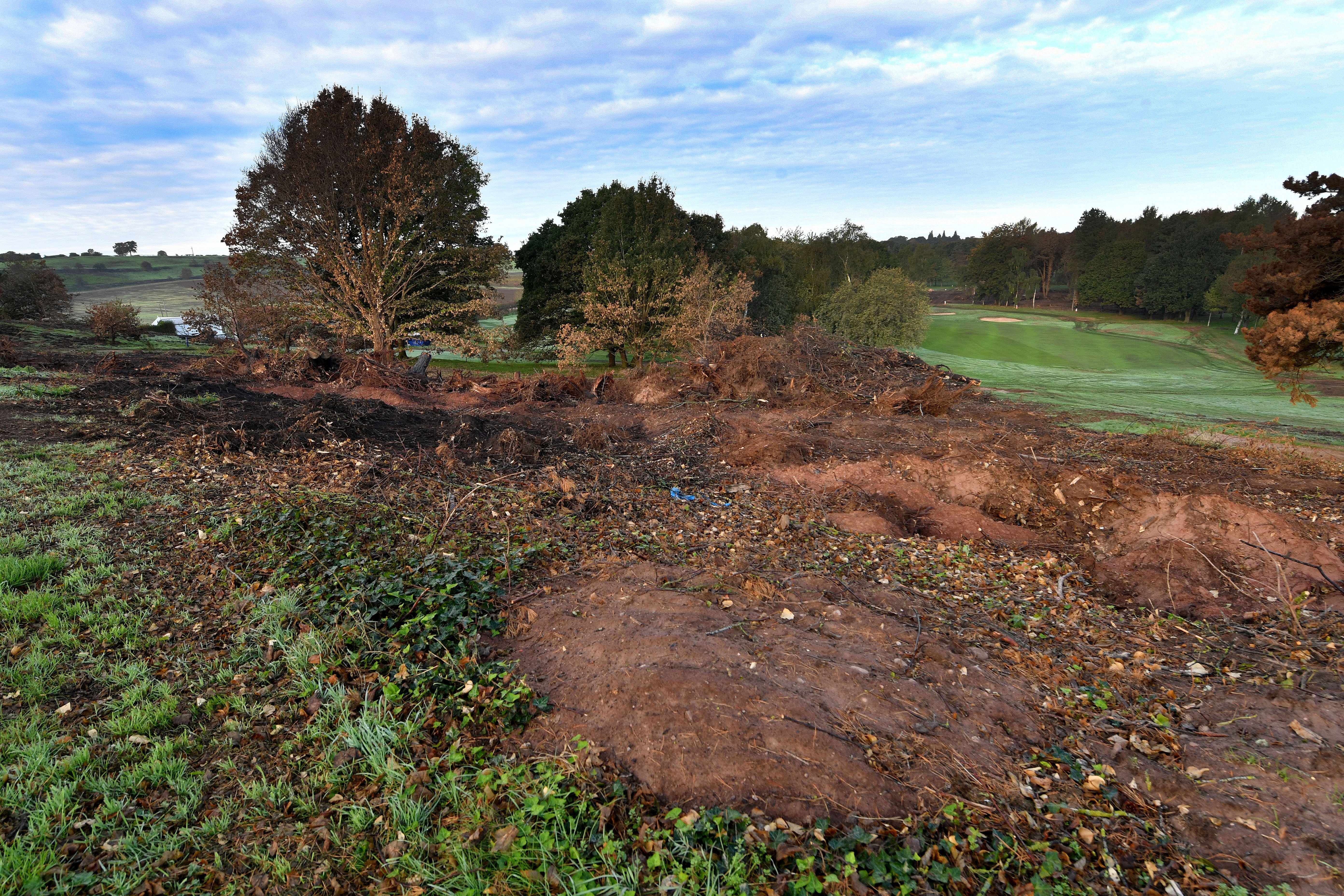 9 devastating images show trees that were destroyed during Stourbridge wildfires being removed as MP updates