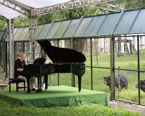 Rick Wakeman performing to bears at Tam Dao National Park