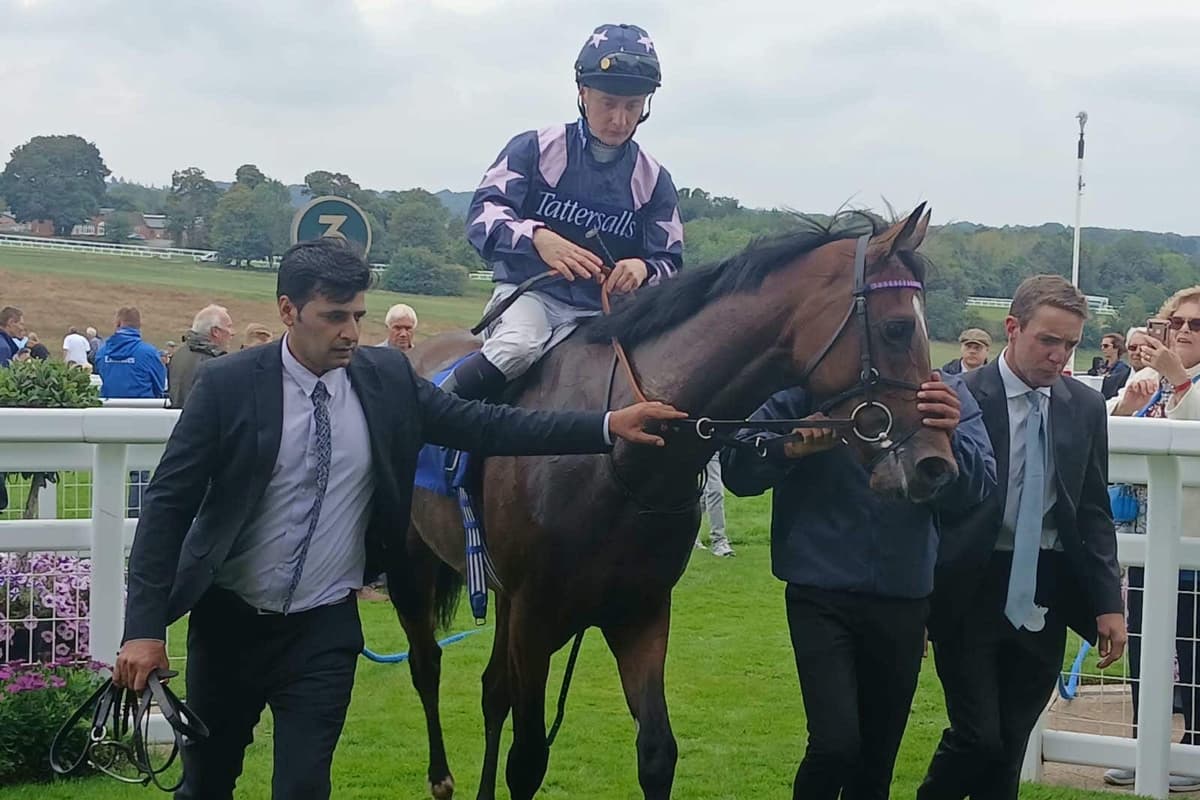 Derby dreams alive for unbeaten Quite Cheeky
