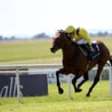 Almaqam is being primed for British Champions Day
