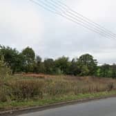 Land off Shawe Park Road, Kingsley Holt
