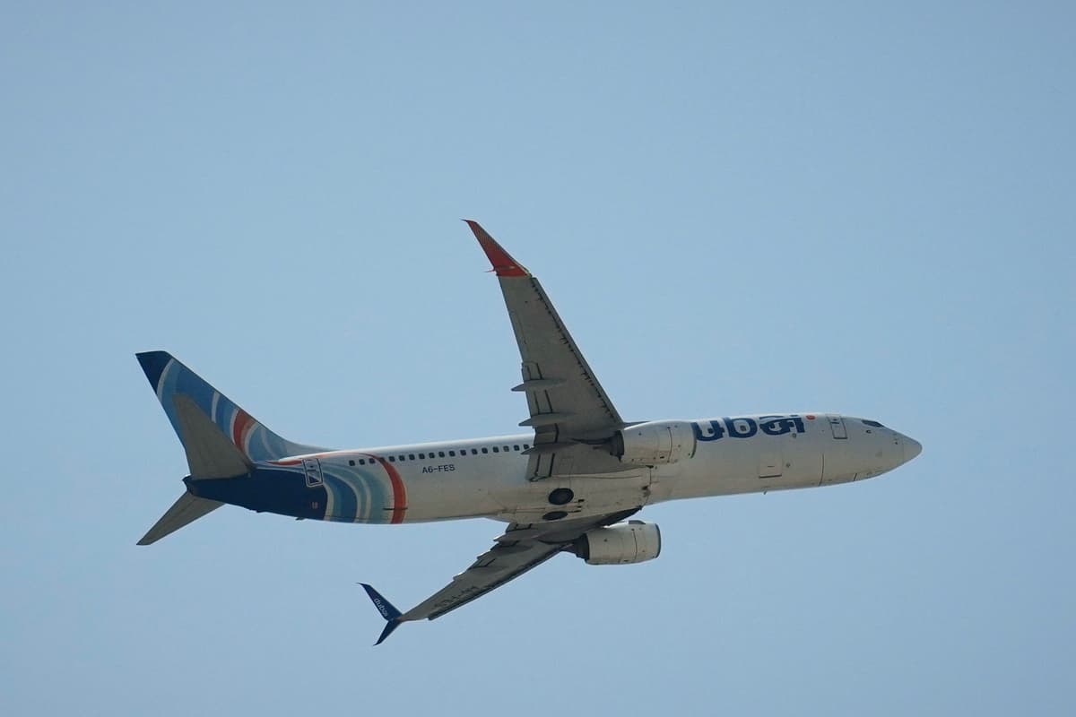 Flight makes emergency landing after ‘pilots started fighting in cockpit’