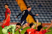 Albion's Barney Stewart celebrates scoring for Scotland under-21s against Azerbaijan on Wednesday.