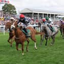 Miss Yechance and Jack Nicholls have formed a great partnership