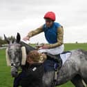 Fallen Angel suffered a fatal injury in France