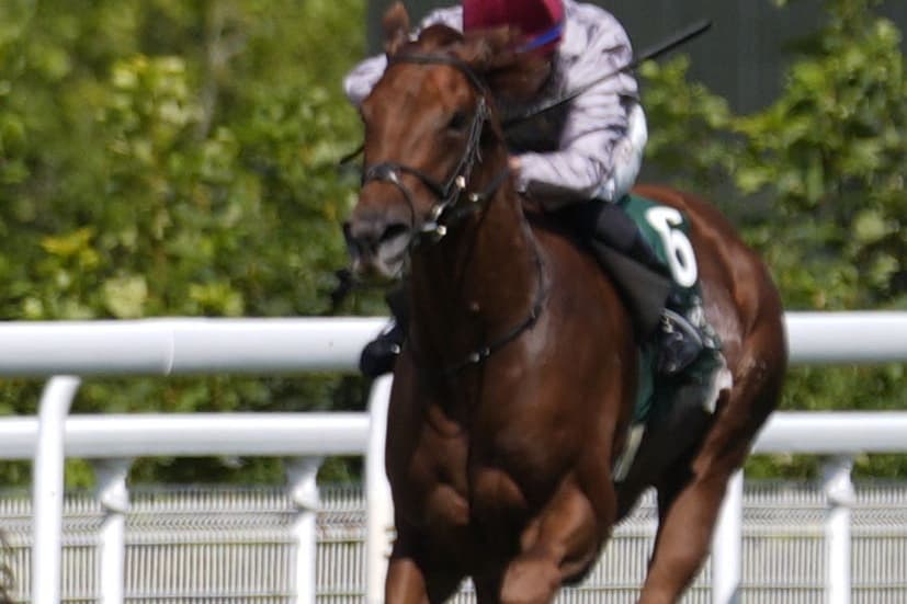 Listed prize for smart Shaihaan at Killarney