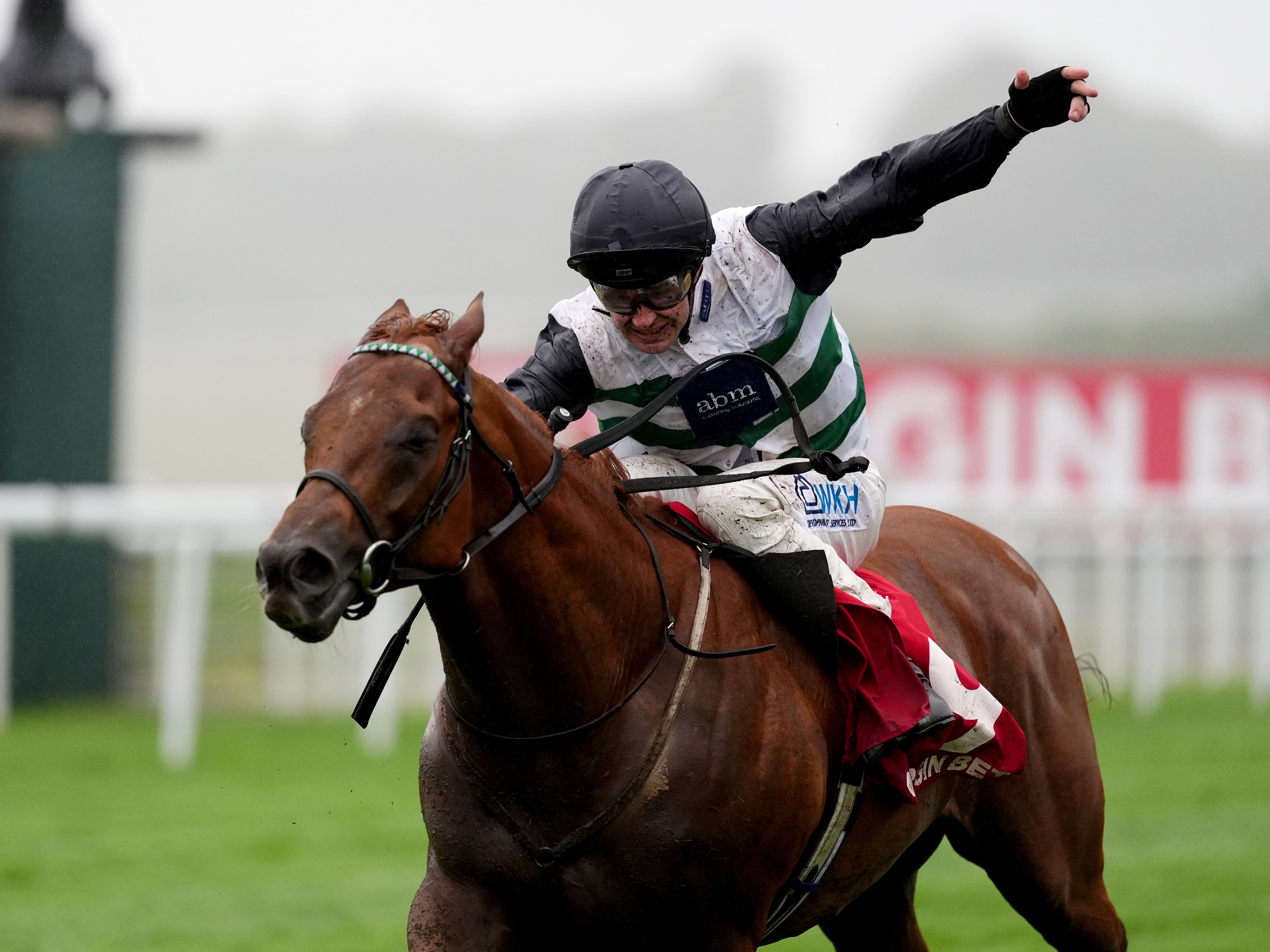 Zavateri bouncing ahead of Champions Day swansong