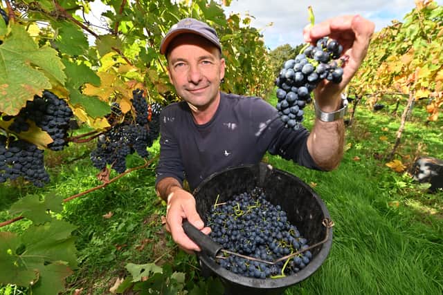 Clive Vickers, at Halfpenny Green Wine Estate, between Wolverhampton and Stourbridge