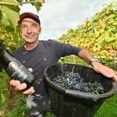 Clive Vickers, at Halfpenny Green Wine Estate, between Wolverhampton and Stourbridge