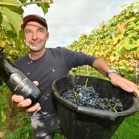 Another good year for West Midlands vineyard which has grown into one of the largest in the country