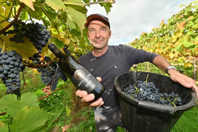 Clive Vickers, at Halfpenny Green Wine Estate, between Wolverhampton and Stourbridge