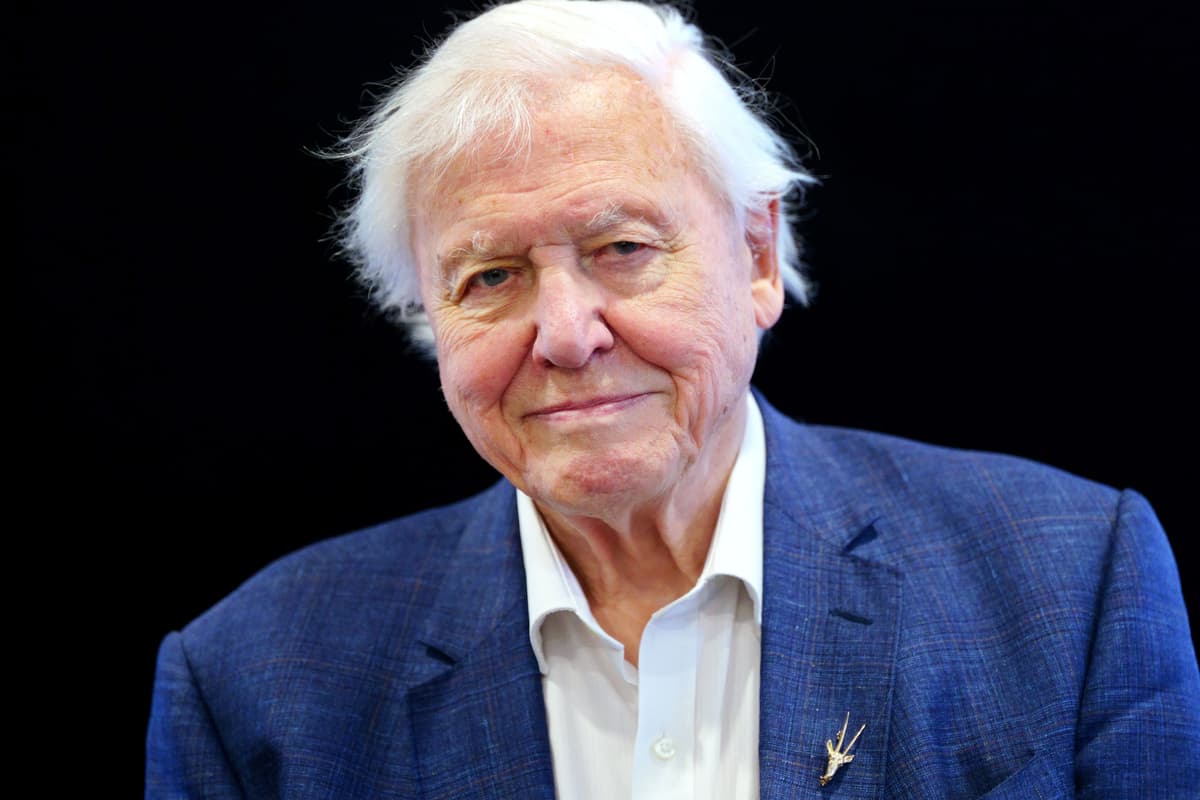 David Attenborough promises to ‘venture even further’ in Blue Planet III