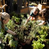 Work begins at new Physic Garden at Birmingham Botanical Gardens in partnership with Birmingham City University 