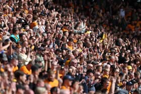 Wolves fans