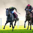Cock And Bull (left) is one of two Cesarewitch hopefuls for Emmet Mullins