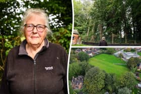 Tean villagers are upset by 60ft trees