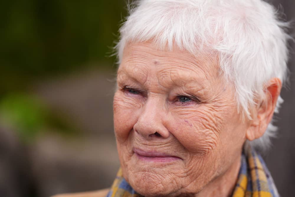 Dame Judi Dench close-up