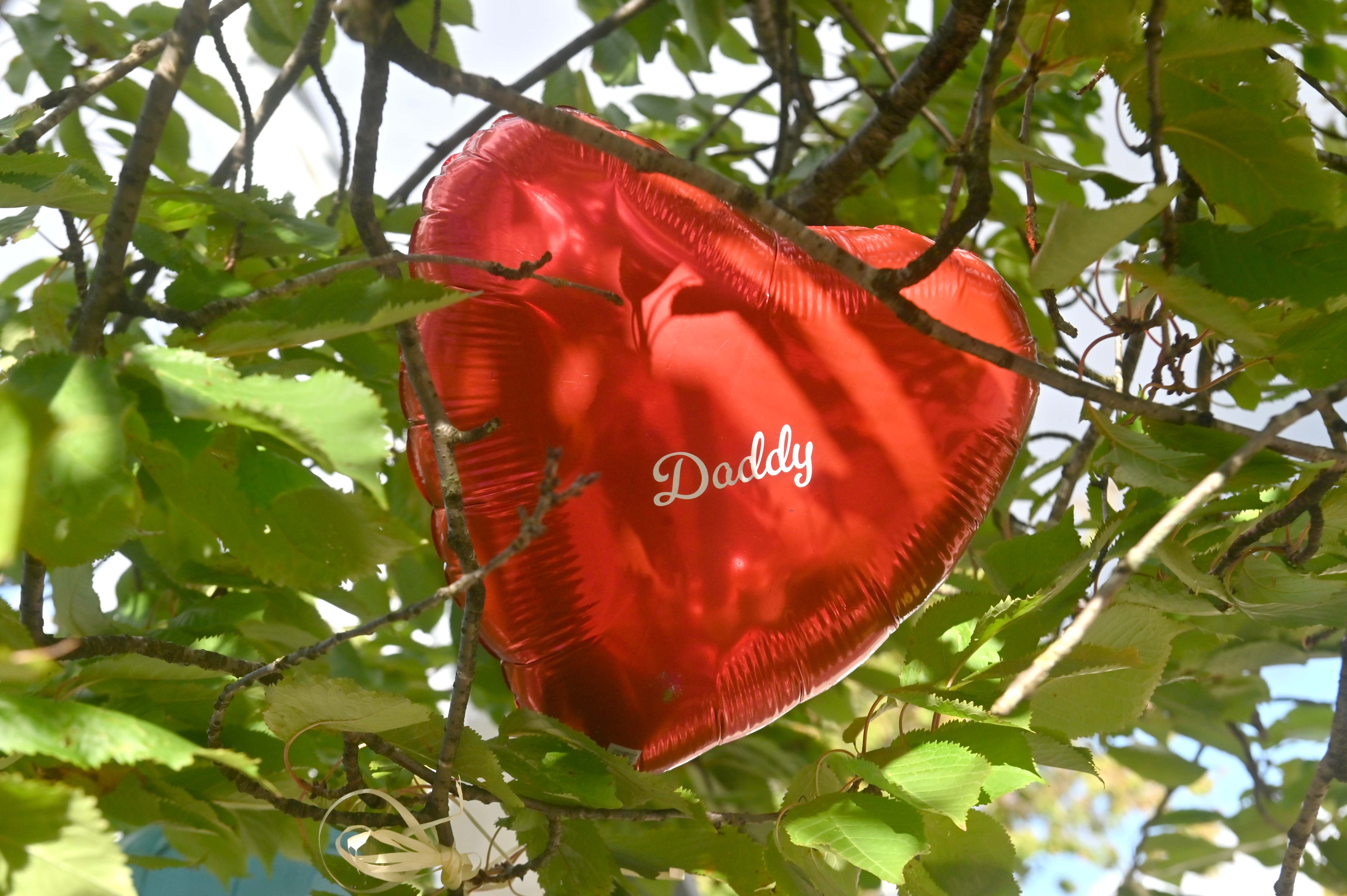 12 photos show touching tributes left to man murdered in Sutton ...