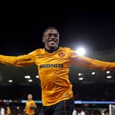 Jean-Ricner Bellegarde celebrates after scoring for Wolves against Bolton 
