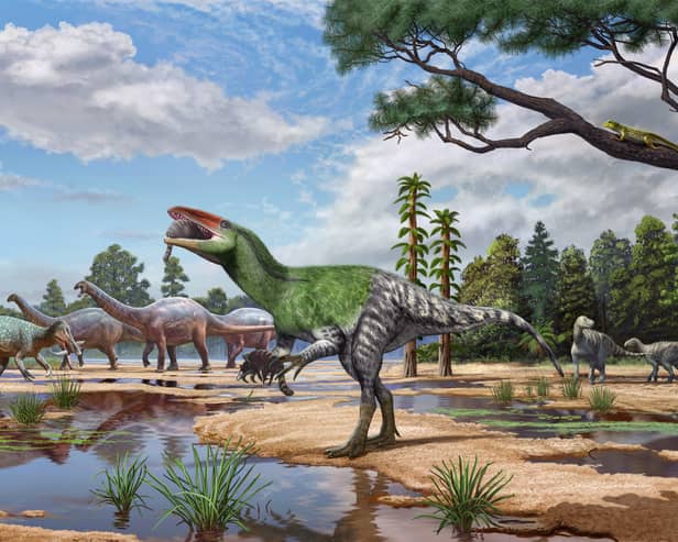 Artist's impression of Invictibellatrix amberina