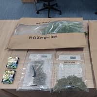 Large quantity of cannabis seized from Staffordshire address after police raid