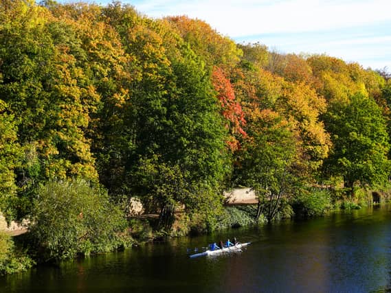 Trees begin to show their autumnal colour