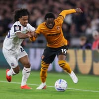 ‘Needs time’ - Boss reveals what Wolves summer signing must improve