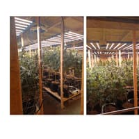 Two men arrested after £1.2 million cannabis farm found on Kidderminster industrial estate