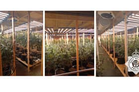 Cannabis farm found in Kidderminster
