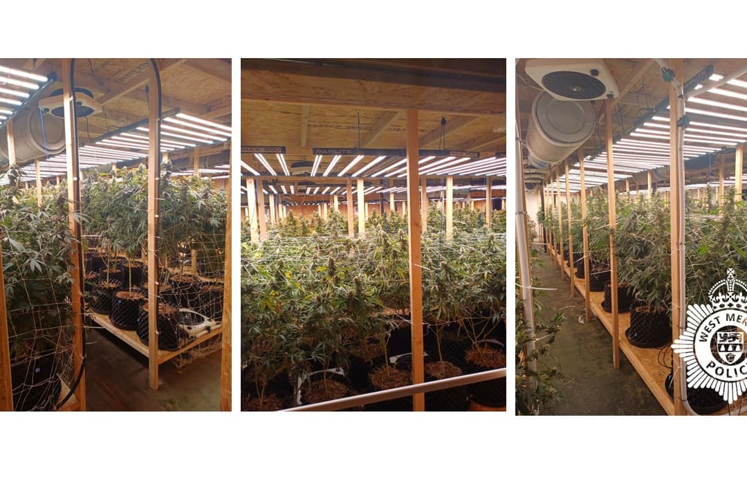 Two men arrested after £1.2 million cannabis farm found on Kidderminster ...