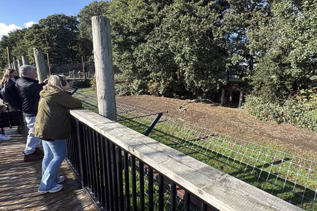 The wildlife park was sparsely populated upon its reopening (PA)