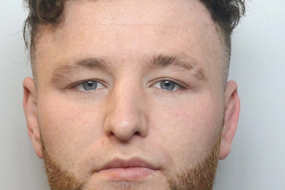 Truck driver jailed for death while using gambling website