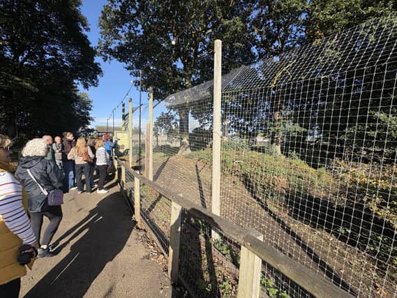 Members of the public viewing the Land of the Tigers enclosure at Yorkshire Wildlife Park in Doncaster
