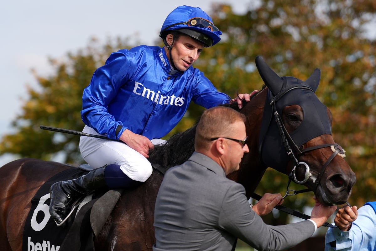 ‘Exciting’ Talk Of New York poised for QEII showdown