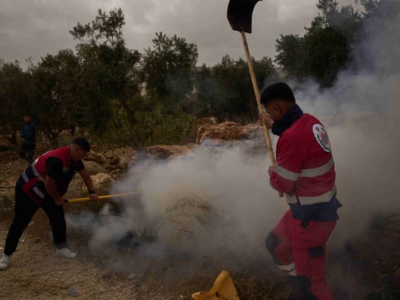 Palestinians extinguishing a fire in an olive grove
