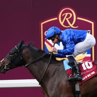 Talk Of New York the toast of Ascot with QEII victory