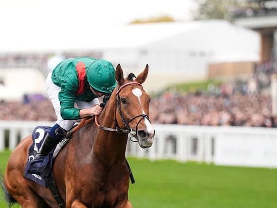 Calandagan winning last year's Champion Stakes at Ascot