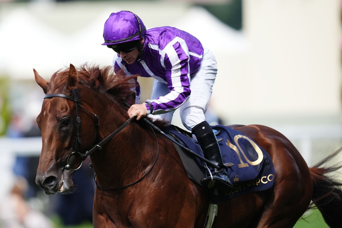 Great Barrier Reef out to enhance O’Brien’s Juvenile Turf record
